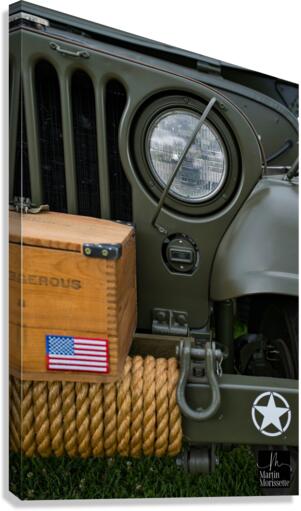 Collection army Canvas Print