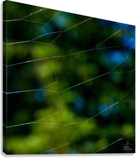 Nature morte Canvas Print