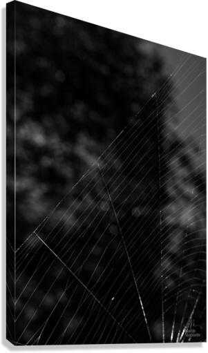 Nature morte Canvas Print