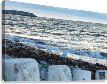 Matane Qc Canvas Print