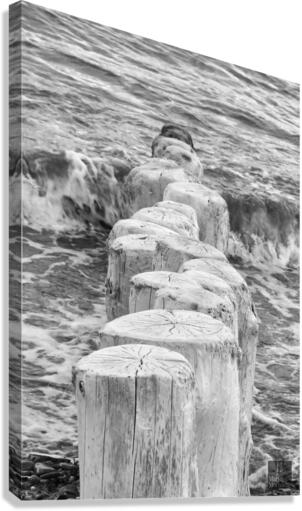 Direction Canvas Print