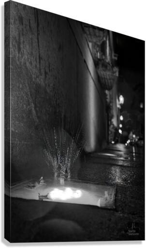 Splash Canvas Print