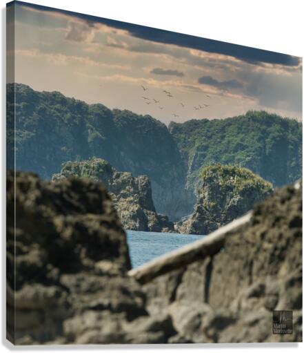 A7404223 Canvas Print