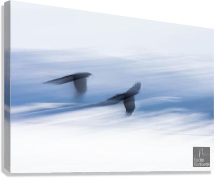 Lenvolee Canvas Print