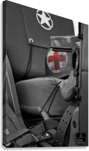 Collection Army Canvas Print