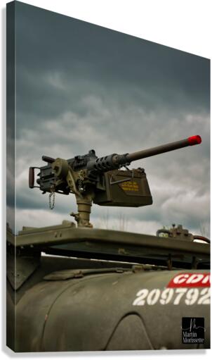 Collection Army Canvas Print