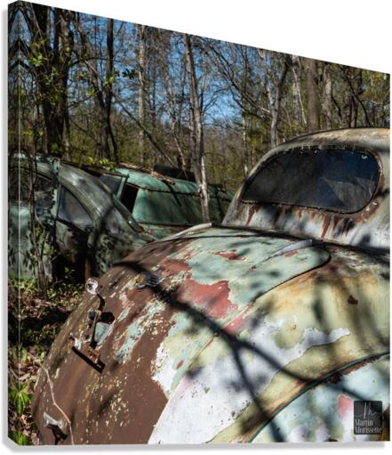 Nostalgie5 Canvas Print