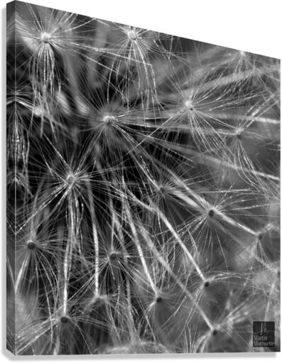 Florail Canvas Print