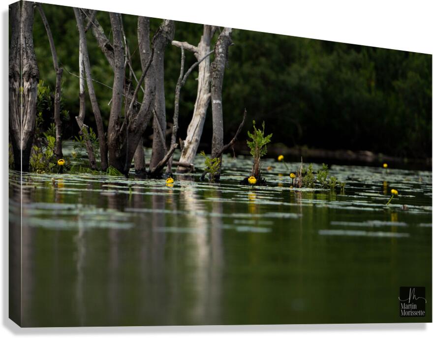 Zen Canvas Print