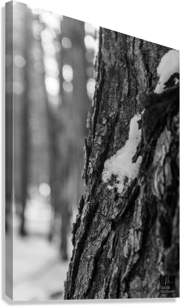 Temps darret  Canvas Print