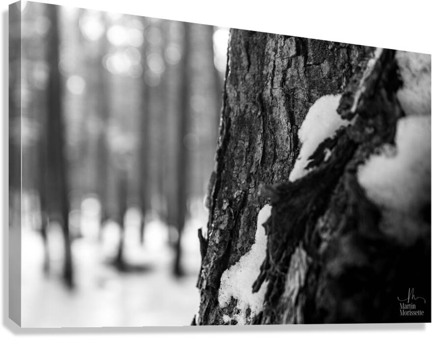 Temps darret 2 Canvas Print