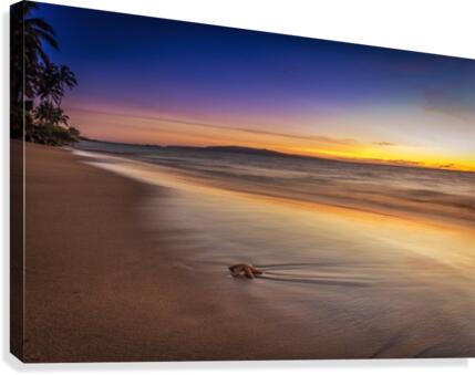 Tropical Sunset Canvas Print