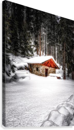 The Alps Canvas Print