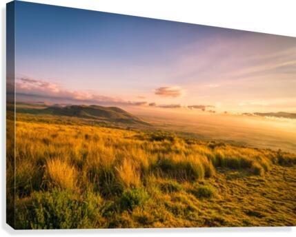 Golden Hour Canvas Print