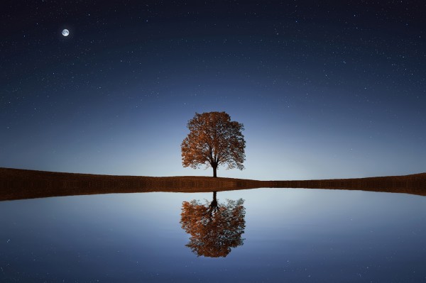 Reflection Print