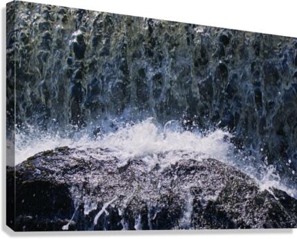 Lonely walk 7 Canvas Print