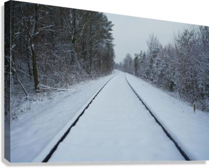 Snow days 3 Canvas Print