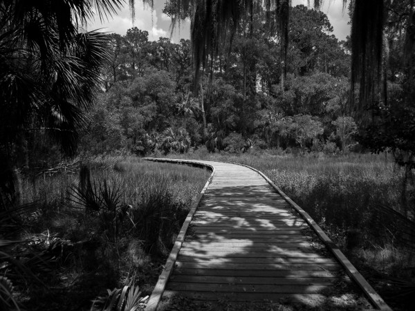 The Path Print