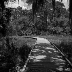 The Path