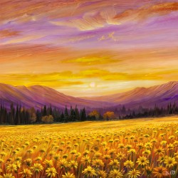Where Flowers Meet the Sun