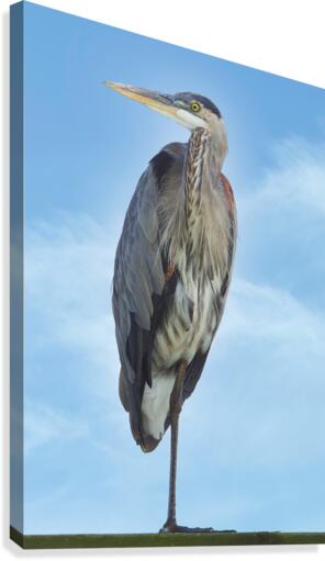 Stand Tall Canvas Print