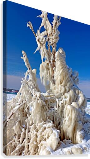 Frozen Canvas Print