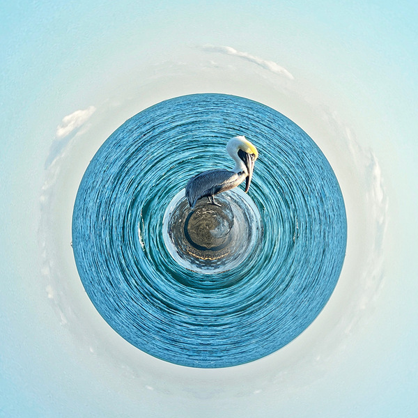 261 Solitude is not Loneliness by ec360view
