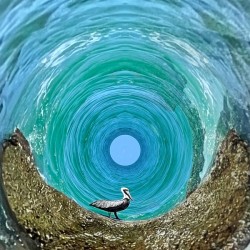 371 Under the Sea