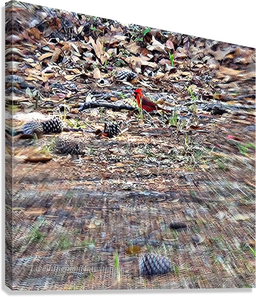 Red Bird  Canvas Print