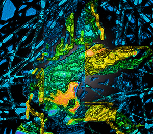 Tangled Transformation 4