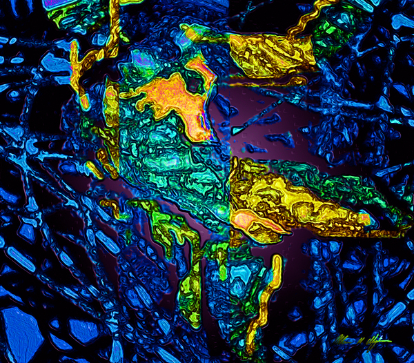 Tangled Transformation 3 Print