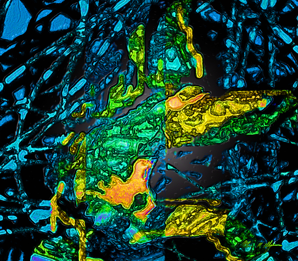 Tangled Transformation 4 Print