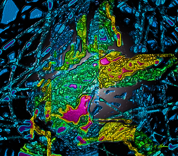 Tangled Transformation 5 Print