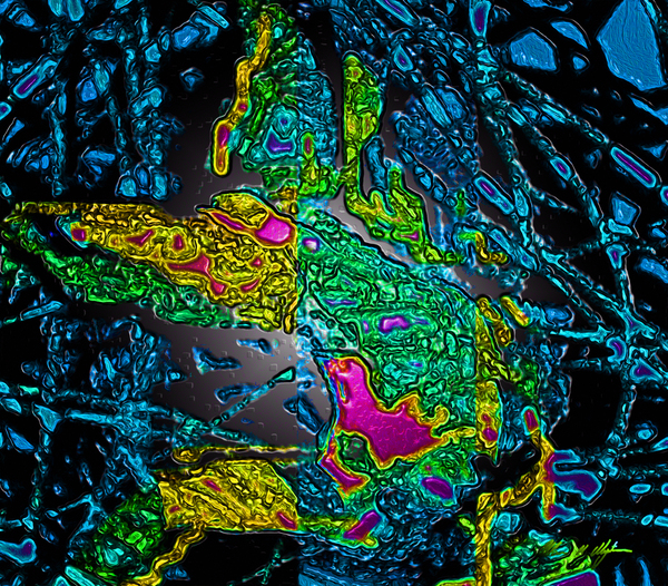 Tangled Transformation 6 Print