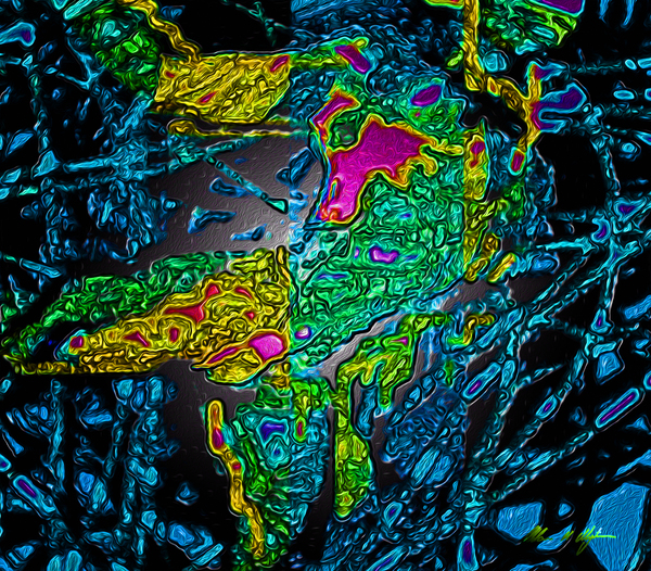 Tangled Transformation 7 Print