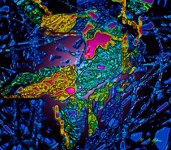 Tangled Transformation 8 Print
