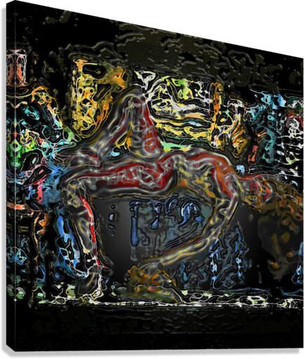 Euphoria 4 Canvas Print