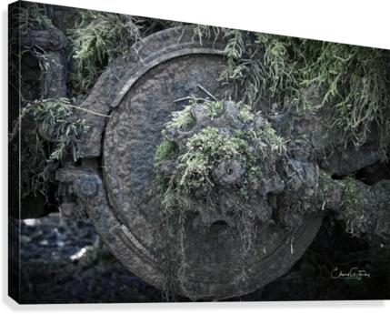Lost in Time Canvas Print