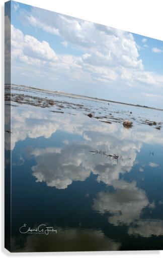 Summer Reflections Canvas Print