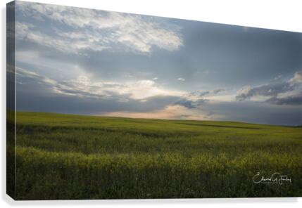 After the Storm Canvas Print