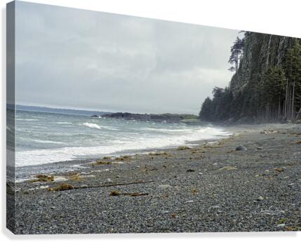 Agate Beach Canvas Print