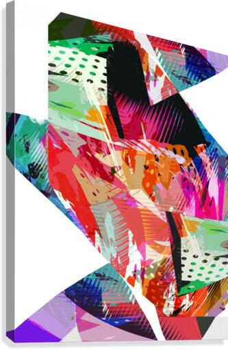 sava Canvas Print