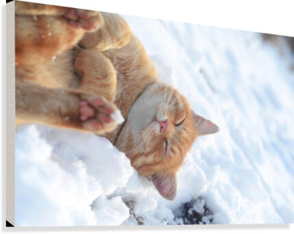 Rolling Canvas Print