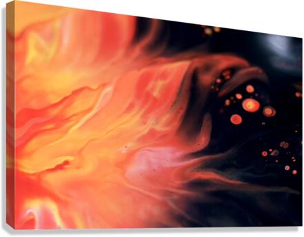 Sun 1 Canvas Print