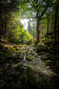 Ruisseau cache