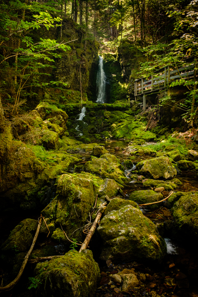 Chutes Dickson Print