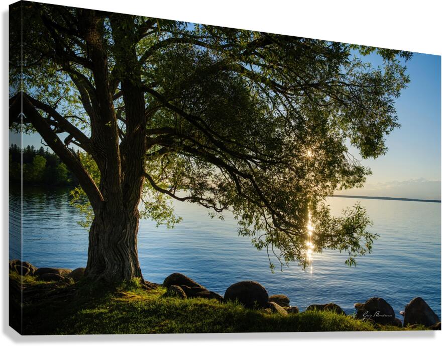 Scintillement Canvas Print