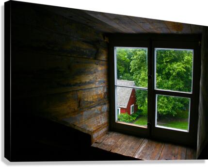 A carreau Canvas Print
