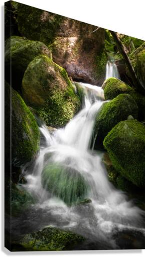 Cascades Canvas Print