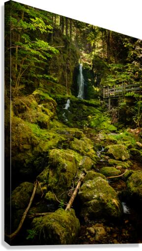 Chutes Dickson Canvas Print